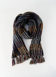 Echarpe bleu BARTS femme