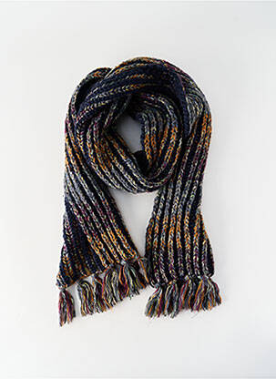 Echarpe bleu BARTS femme