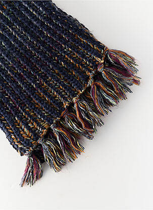 Echarpe bleu BARTS femme