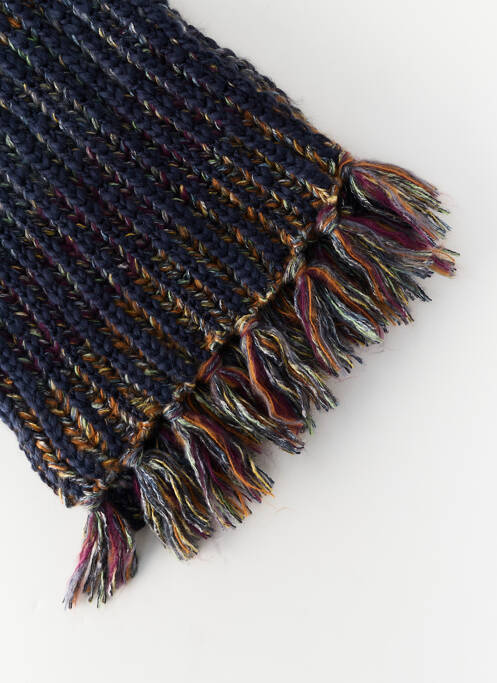 Echarpe bleu BARTS femme