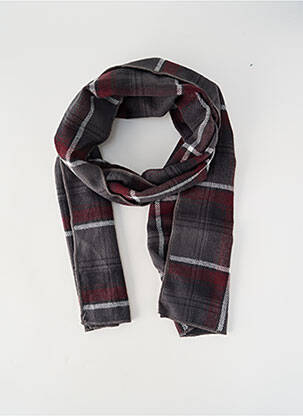 Echarpe gris PETROL INDUSTRIES homme