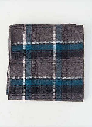 Echarpe gris PETROL INDUSTRIES homme