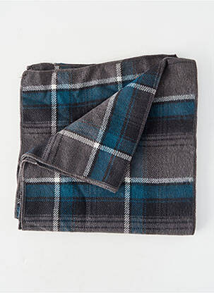Echarpe gris PETROL INDUSTRIES homme