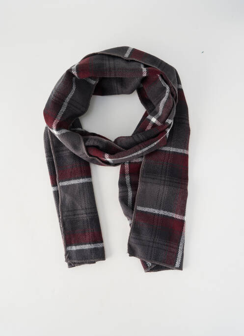 Echarpe gris PETROL INDUSTRIES homme