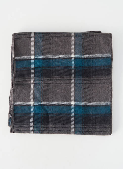 Echarpe gris PETROL INDUSTRIES homme