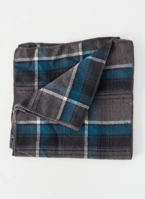 Echarpe gris PETROL INDUSTRIES homme