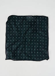 Pochette vert LE FABULEUX MARCEL DE BRUXELLES homme