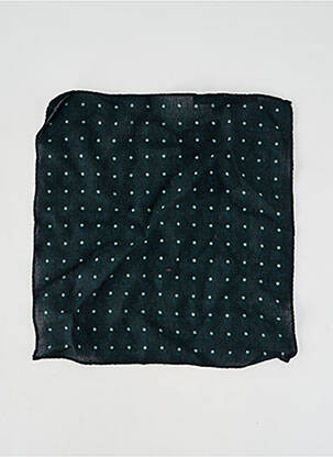 Pochette vert LE FABULEUX MARCEL DE BRUXELLES homme