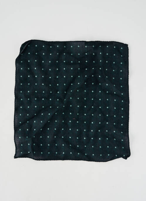 Pochette vert LE FABULEUX MARCEL DE BRUXELLES homme