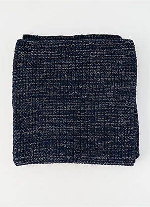 Echarpe bleu PETROL INDUSTRIES homme