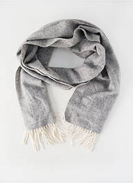 Echarpe gris PROFUOMO homme