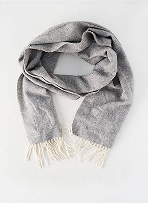 Echarpe gris PROFUOMO homme