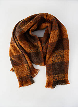 Echarpe marron SELECTED homme