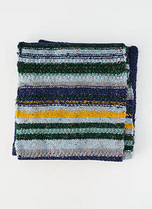 Echarpe bleu ESSENTIEL ANTWERP homme