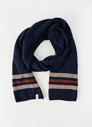 Echarpe bleu SELECTED homme