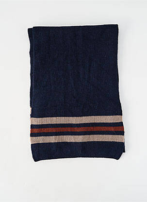Echarpe bleu SELECTED homme