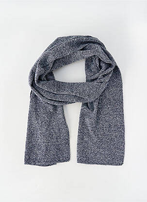 Echarpe bleu PETROL INDUSTRIES homme
