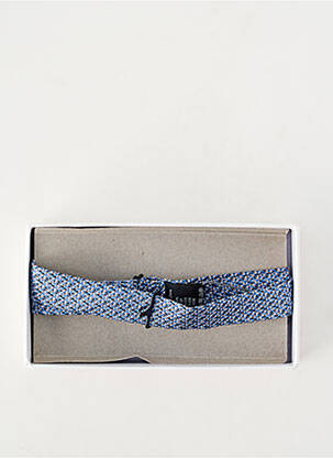 Noeud papillon bleu PROFUOMO homme