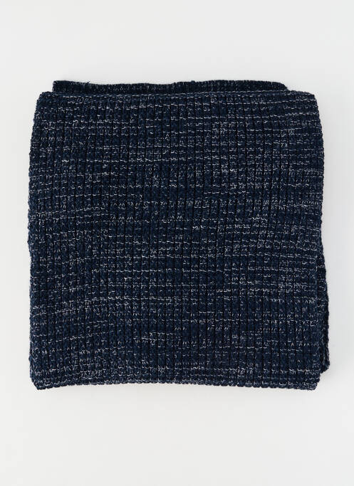 Echarpe bleu PETROL INDUSTRIES homme