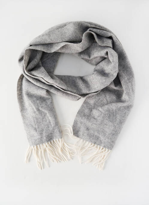 Echarpe gris PROFUOMO homme