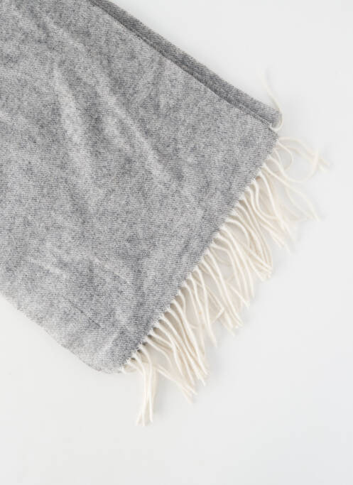 Echarpe gris PROFUOMO homme