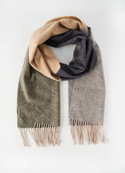 Echarpe gris PROFUOMO homme