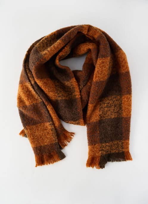 Echarpe marron SELECTED homme