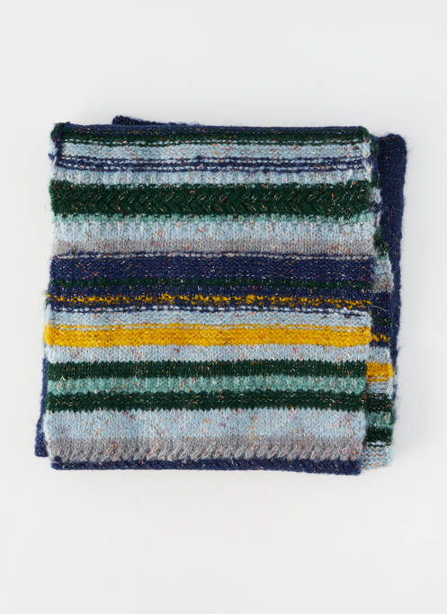 Echarpe bleu ESSENTIEL ANTWERP homme