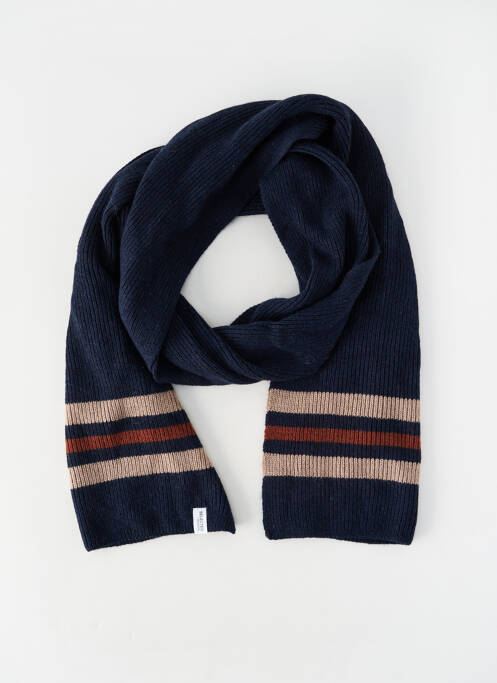 Echarpe bleu SELECTED homme
