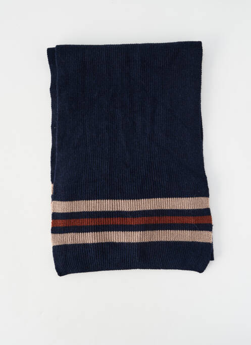 Echarpe bleu SELECTED homme