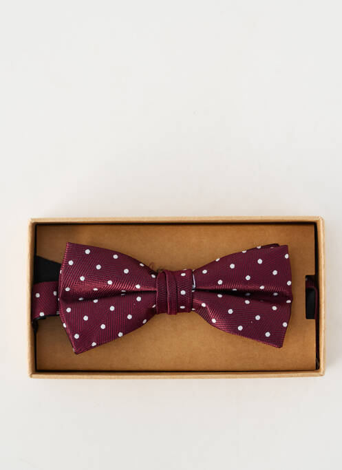 Noeud papillon violet JACK & JONES homme