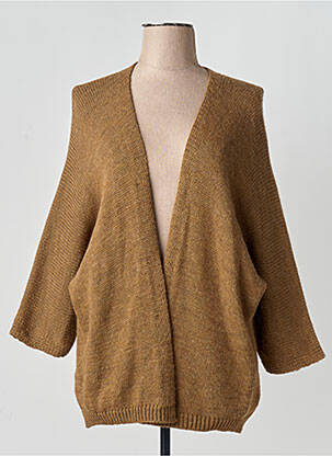 Gilet manches longues marron TERRA DI SIENA femme