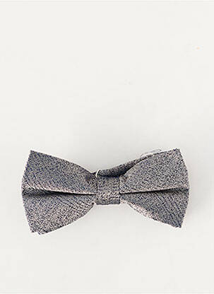 Noeud papillon gris LE FABULEUX MARCEL DE BRUXELLES homme