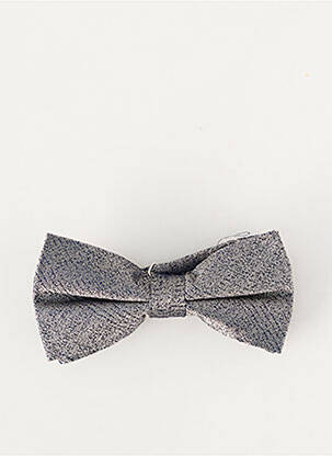 Noeud papillon gris LE FABULEUX MARCEL DE BRUXELLES homme