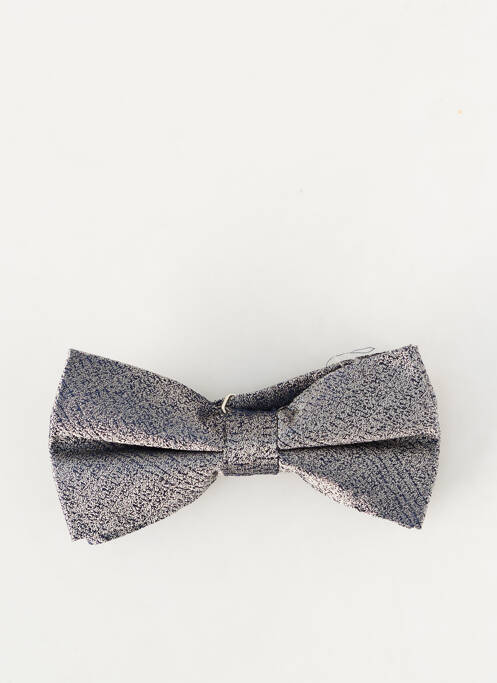 Noeud papillon gris LE FABULEUX MARCEL DE BRUXELLES homme