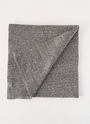 Echarpe gris PETROL INDUSTRIES homme