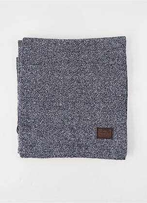 Echarpe bleu PETROL INDUSTRIES homme