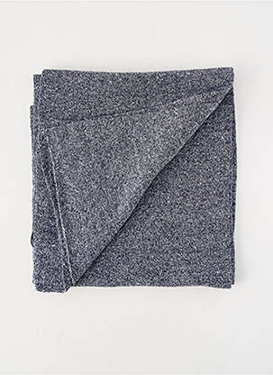 Echarpe bleu PETROL INDUSTRIES homme