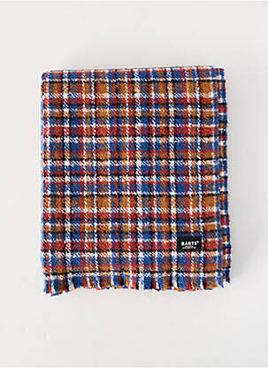 Echarpe bleu BARTS homme