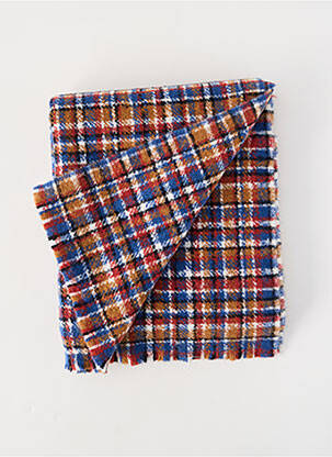 Echarpe bleu BARTS homme
