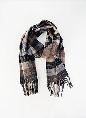 Echarpe gris ACCESS homme