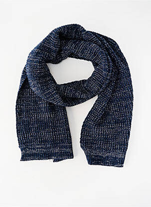 Echarpe bleu PETROL INDUSTRIES homme