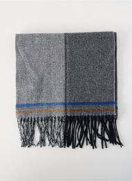 Echarpe gris ACCESS homme
