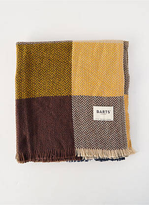 Echarpe marron BARTS homme