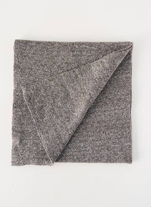Echarpe gris PETROL INDUSTRIES homme