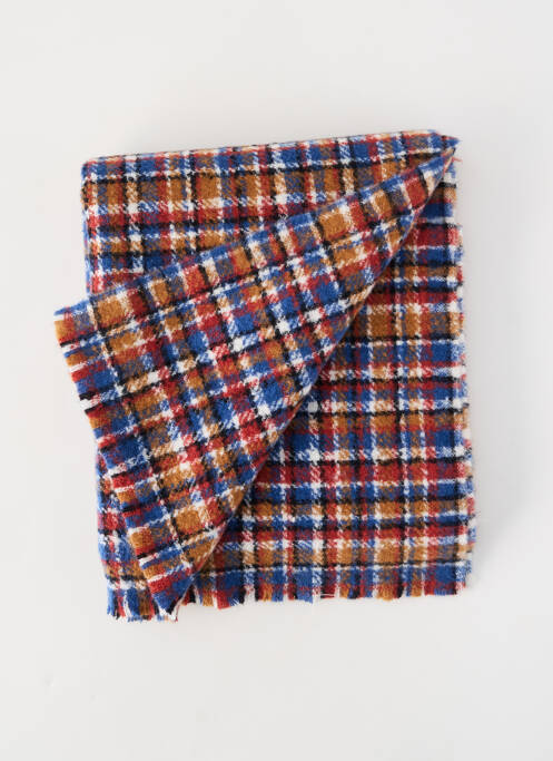 Echarpe bleu BARTS homme