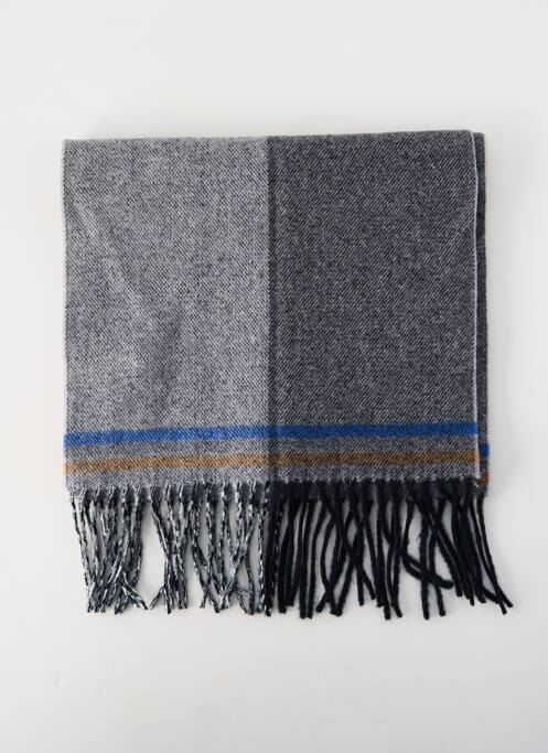 Echarpe gris ACCESS homme