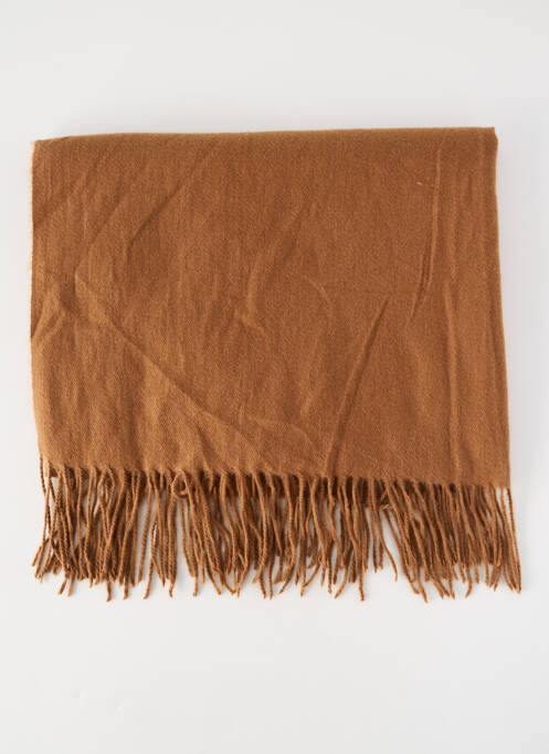 Echarpe marron ACCESS femme