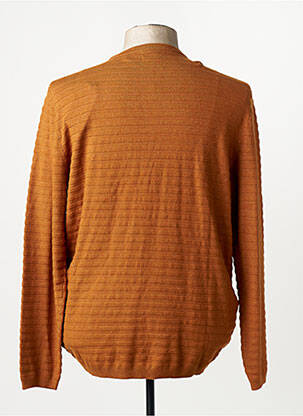 Pull marron PETROL INDUSTRIES homme