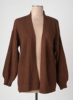 Gilet manches longues marron HAILYS femme